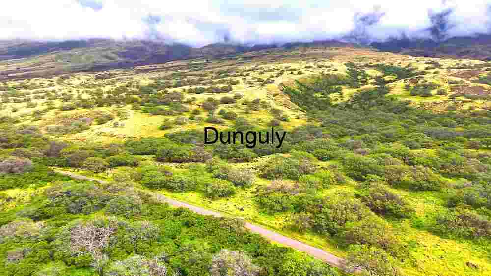 Witness Earth's innate splendor from above. Explore and professionally capture its natural beauty (4) Verdant Valley Aerial View
