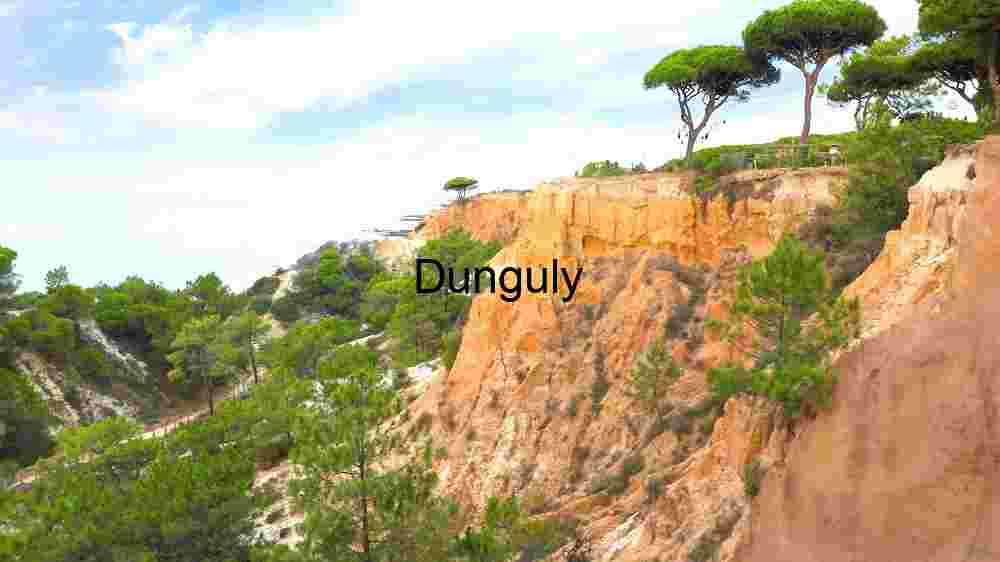 Witness Earth's innate splendor from above. Explore and professionally capture its natural beauty (81) Coastal Cliffs and Pine Trees Landscape