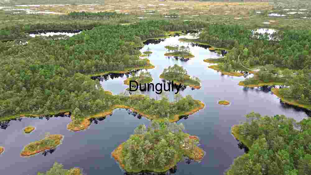mesmerizing global sites natural marvels, cultural gems, and breathtaking views (1) Misty Lake and Dawn
