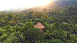 At Home Serene Jungle Retreat at Sunset