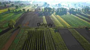 Aerial View of Agricultural Patchwork