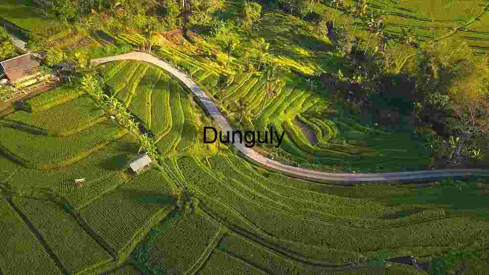 Capturing the Profound Diversity of Our Planet's Corners Cosmic Earthac (44) Aerial View of Lush Green Terraced Rice Fields