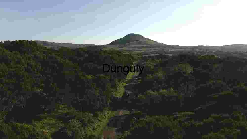 Capturing the Profound Diversity of Our Planet's Corners Cosmic Earthac (79) Serene Forest Path Leading to a Distant Hill