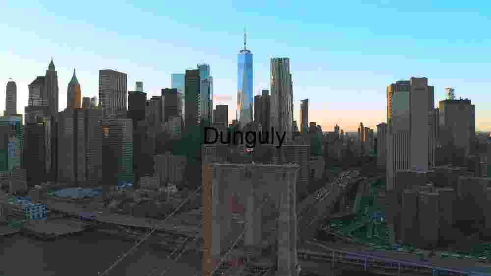 Capturing the Profound Diversity of Our Planet's Corners Cosmic Earthac (92) New York City Skyline at Sunset