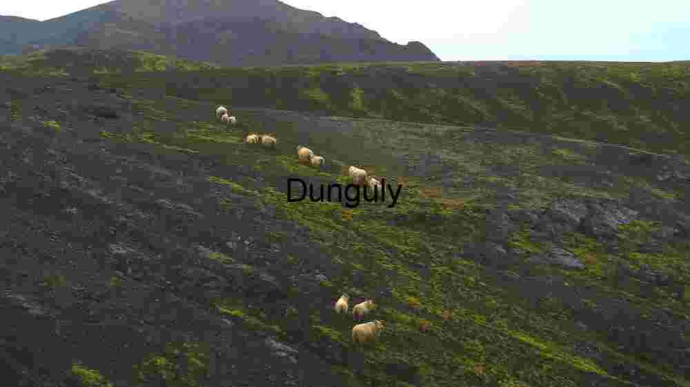 Cosmic Earth in professional captures, different corners of the earth (18) Sheep Grazing on a Volcanic Slope
