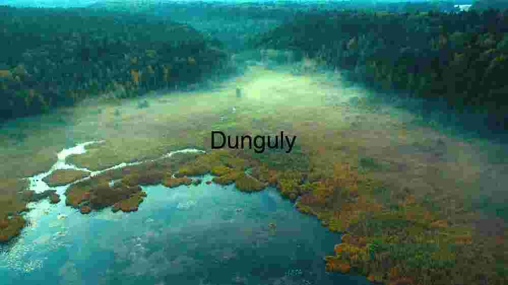 Cosmic Earth in professional captures, different corners of the earth (7) Misty Wetland Landscape