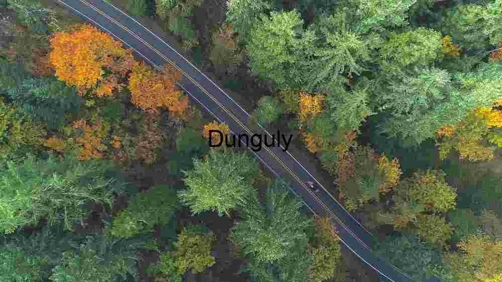 Exploring Cosmic Earth Embracing the Abundant Diversity Across Our Planet's Landscapes (36) Aerial View of a Forest Road in Autumn