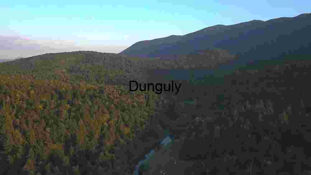 Exploring Cosmic Earth Embracing the Abundant Diversity Across Our Planet's Landscapes (76) Serene Forest Landscape at Dusk