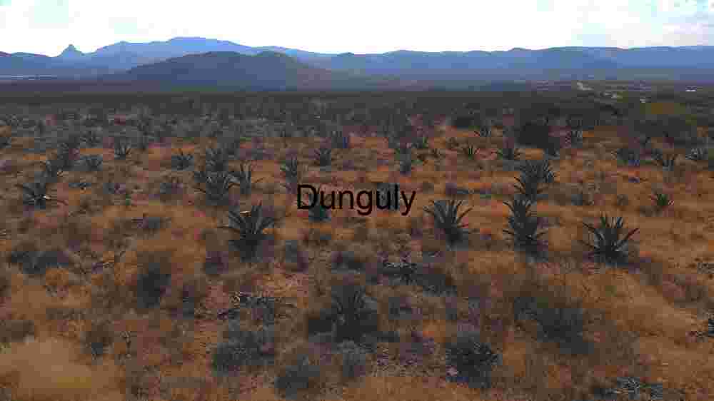 Exploring Cosmic Earth Embracing the Abundant Diversity Across Our Planet's Landscapes (79) Agave Field in Arid Landscape
