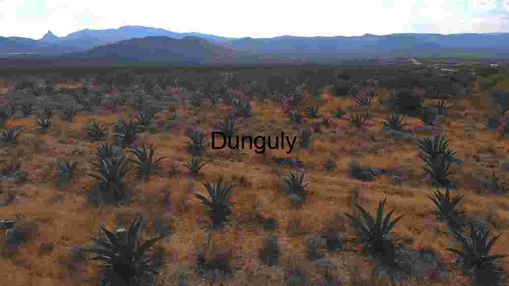 Exploring Cosmic Earth Embracing the Abundant Diversity Across Our Planet's Landscapes (80) Agave Field in Arid Landscape