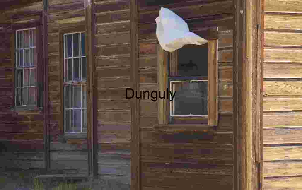 Bodie_Ghost_Town_blowing_in_the_wind Rustic Wooden House with Billowing Curtain