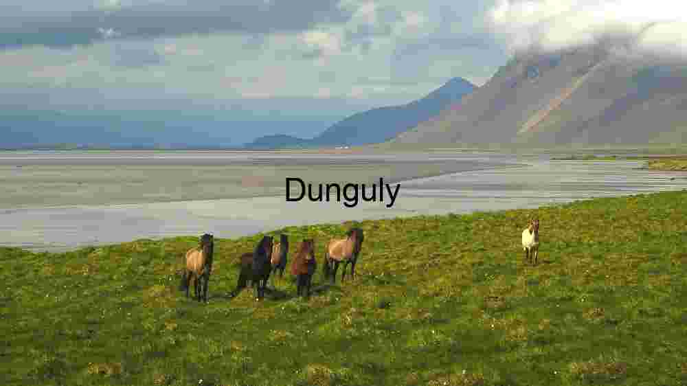 Discovering the Cosmic Tapestry Embracing the Rich Diversity Across Earth's Vast Landscapes (40) Horses Grazing in Scenic Landscape