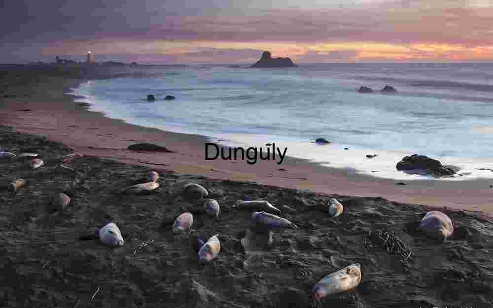 Elephant_seal_beach_twilight_Piedras_Blancas_Big_Sur Seals Resting on a Beach at Sunset