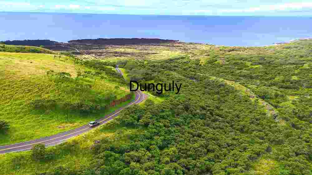 Experience Earth's natural splendor from above. Explore its innate beauty through professional capture (38) Scenic Coastal Road Through Lush Green Hills