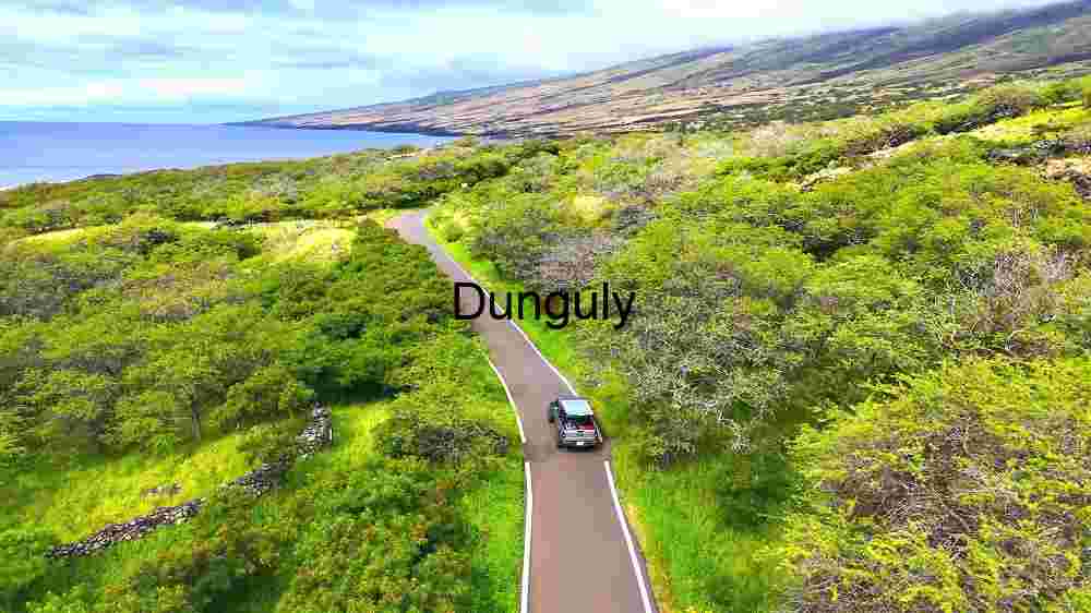 Experience Earth's natural splendor from above. Explore its innate beauty through professional capture (41) Scenic Coastal Drive Through Lush Greenery