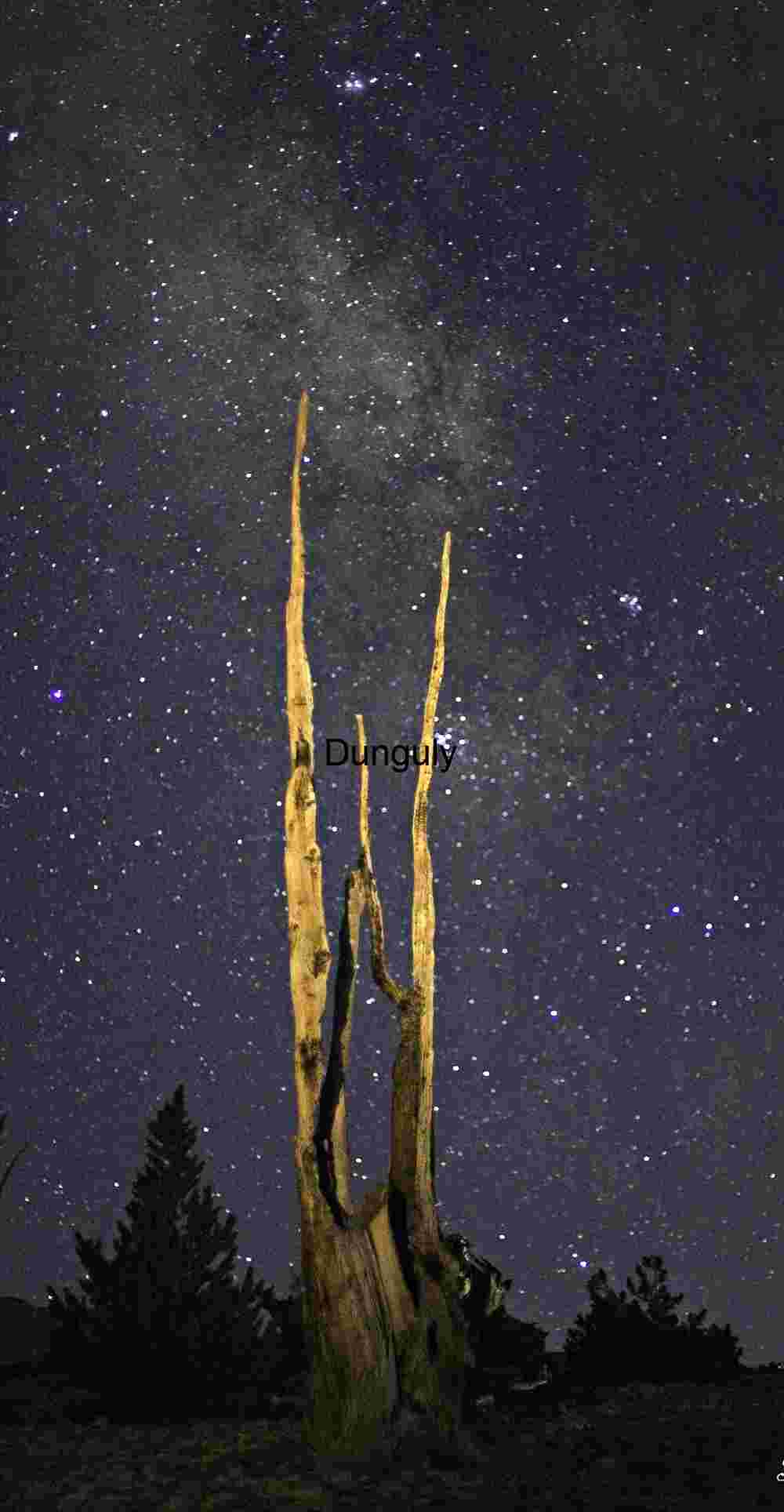 Bristlecone_Pine_Milky_Way_and_bifurcated_snag Ancient Bristlecone Pine: A Testament to Time