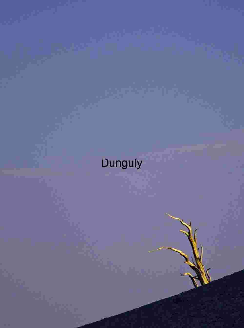 Bristlecone_Pine_ridgeline_sunset Moonlit Silhouette: A Lone Tree Against the Twilight Sky