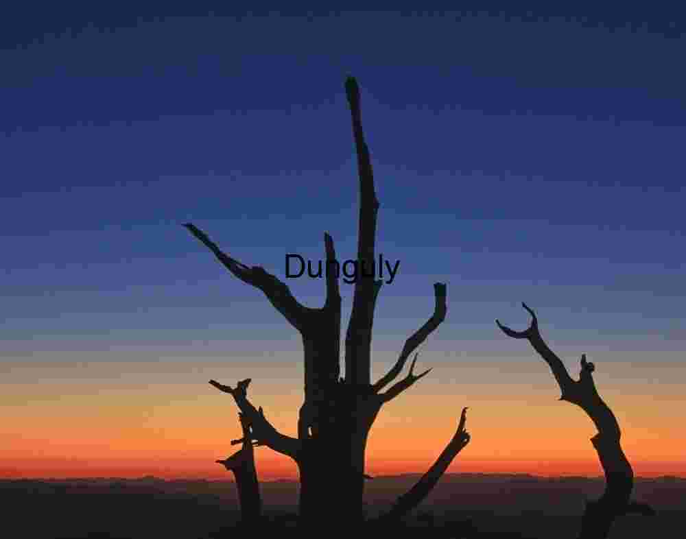 Bristlecone_pine_sillhouette_1 Moonlit Silhouette: A Lone Tree Against the Twilight Sky