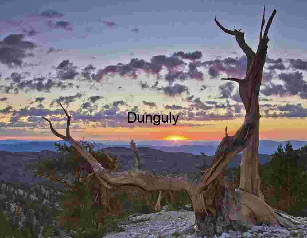 Bristlecone_sunrise_Bristlecone_Pine_Forest_White Mountain Majestic Sunset Over Ancient Bristlecone Pine