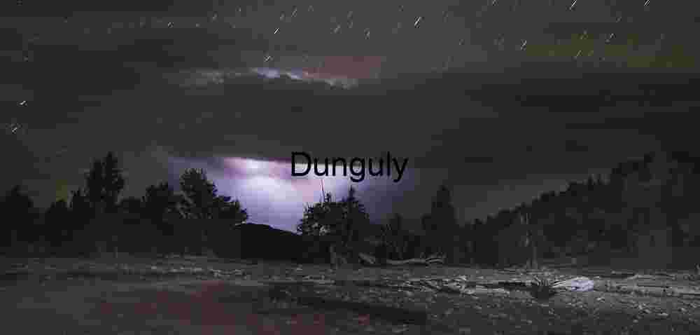 Distant_lightning_Over_Nevada_Bristlecone_Pine_Forest_White_Mountain Nighttime Thunderstorm with Lightning and Star Trails