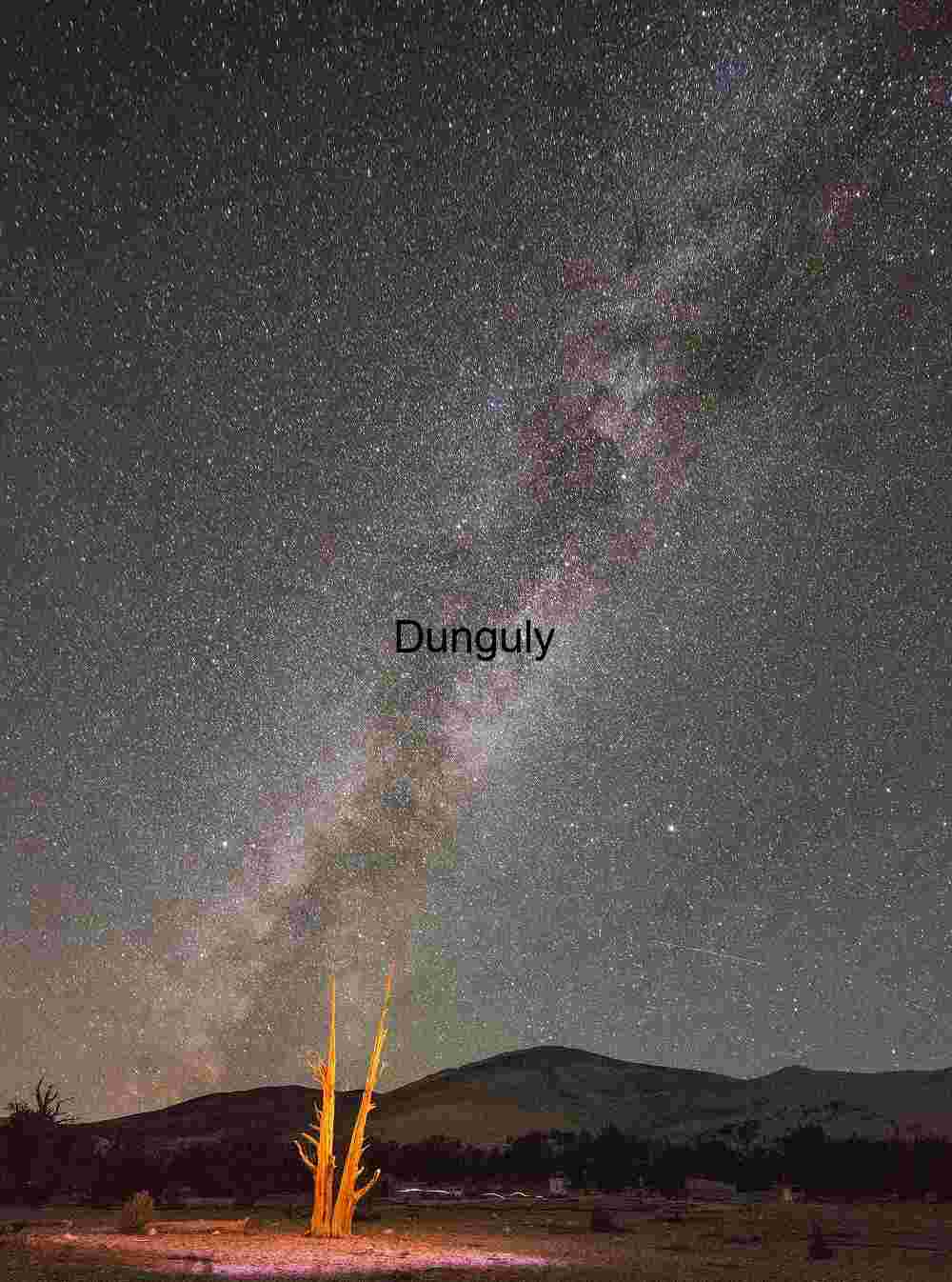 Forked_bristlecone_and_Milky_Way_Patriarch_Grove_White Mountains Celestial Sentinel: Bristlecone Pine Under the Milky Way