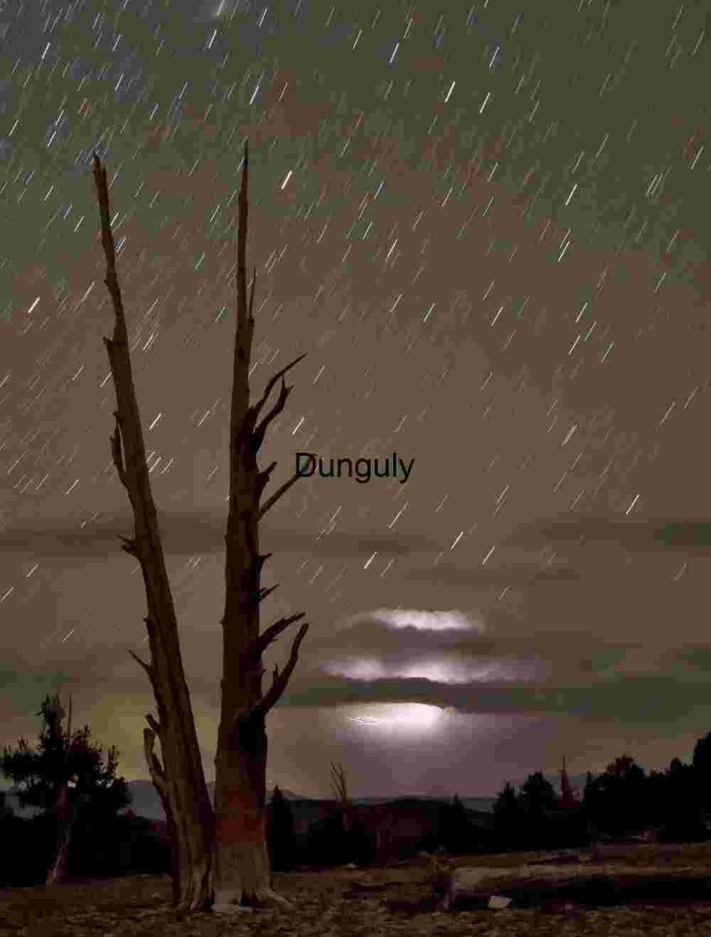 Forked_bristlecone_snag_with_lightning_Bristlecone_Pine_Forest_White_Mountain Star Trails and Lightning Over Ancient Trees