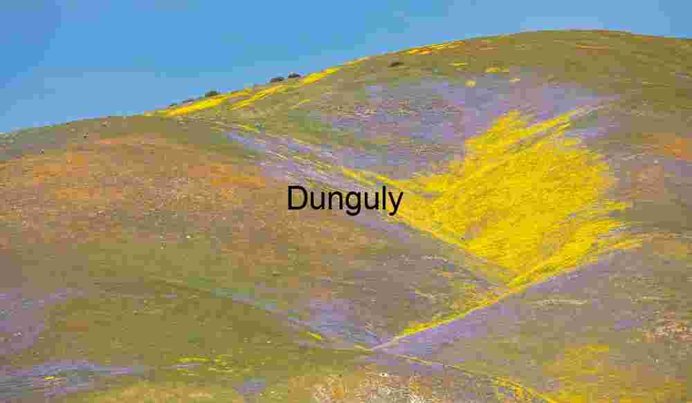 Artists pallette Artist’s Palette – Wildflower Super Bloom on Rolling Hills