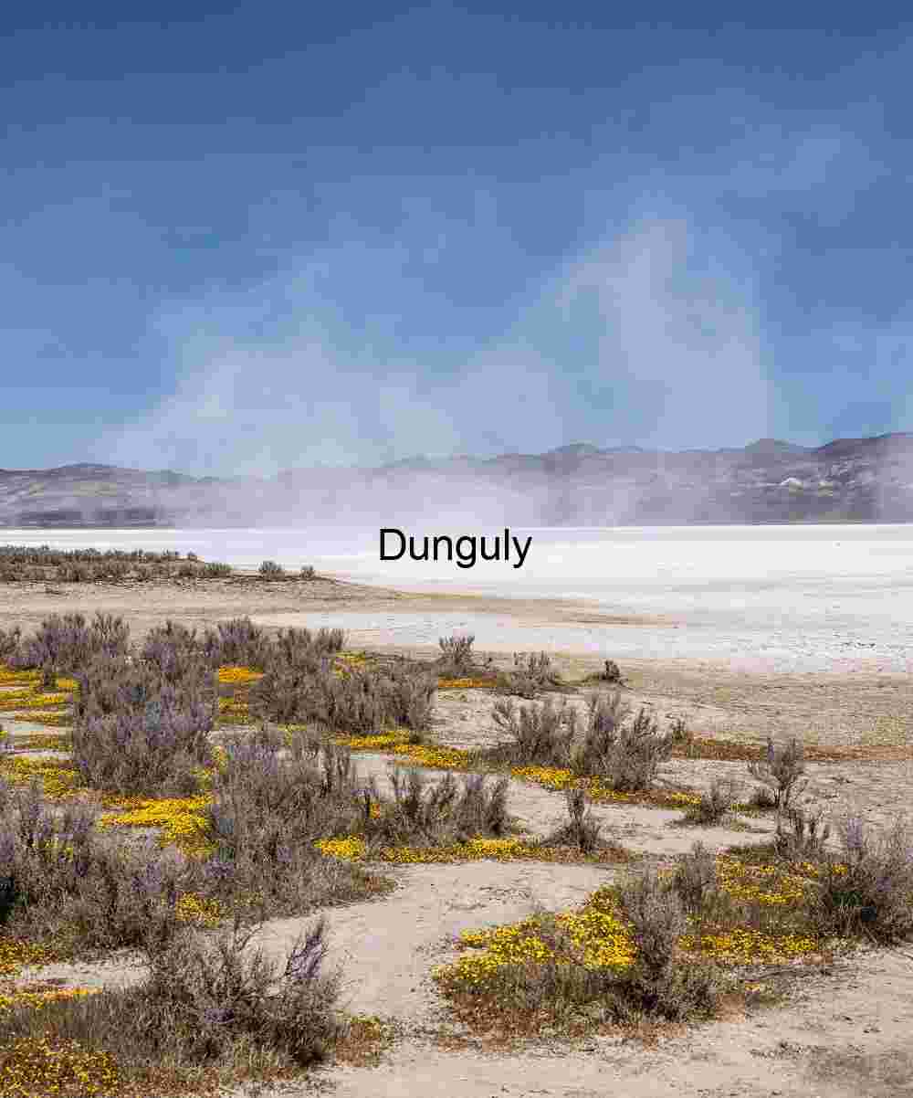 Blowing salt on Soda dry lake; Carrizo Plain National Monument Blowing Salt on Soda Dry Lake – Carrizo Plain National Monument