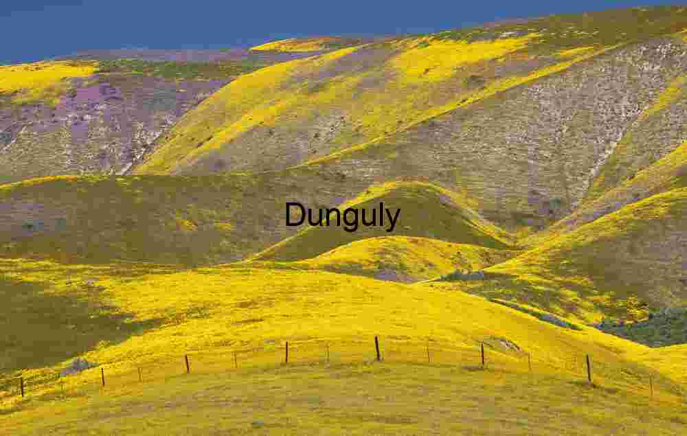 Curving fence - Carrizo Plain Curving Fence Amid Super Bloom – Carrizo Plain