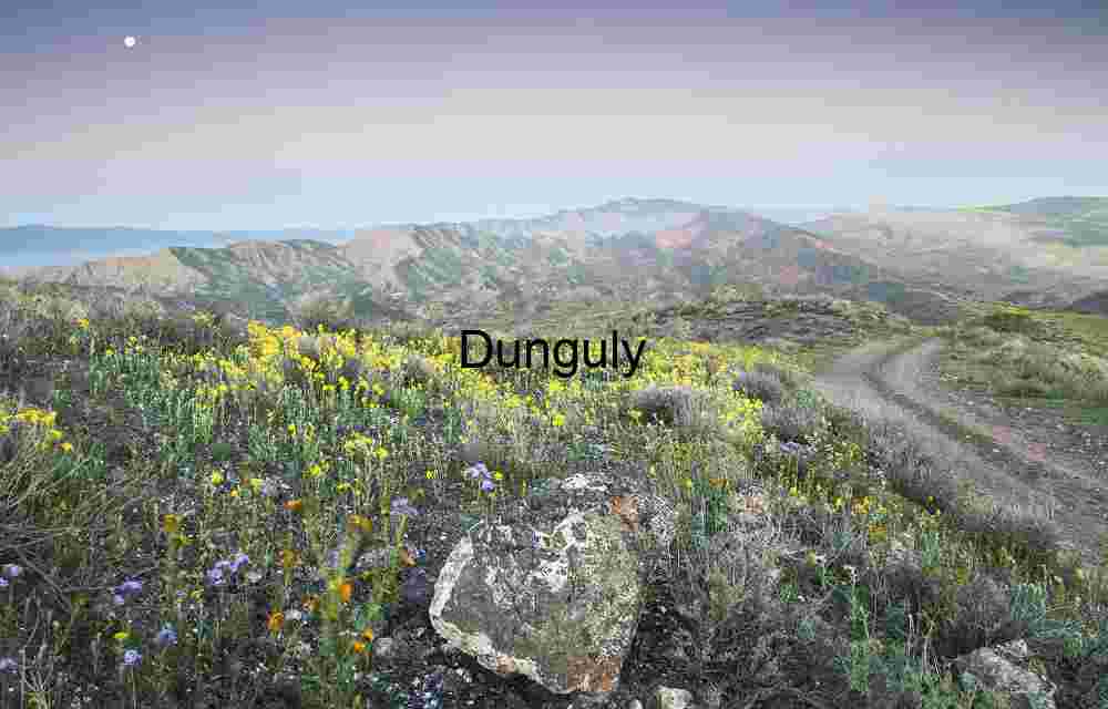 Earthshadow at dawn over the Carrizo hills- Carrizo Plain N.M. Wildflower Trail Beneath the Moon: A Journey Through Color and Contour