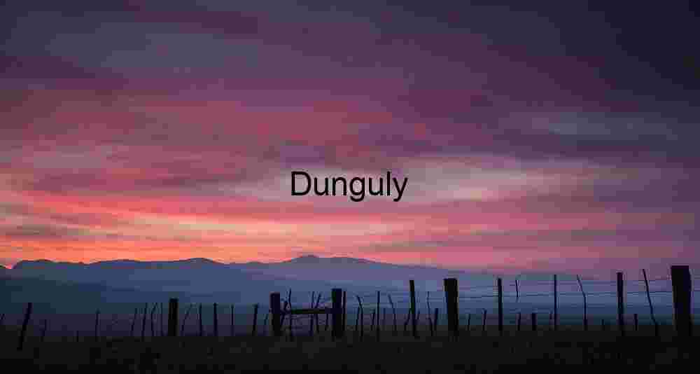 Fenceline at sunset- Carrizo Plains N.M. Gate to the Horizon: Rural Fence Beneath Painted Skies