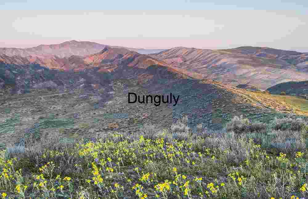 First light on the Carrizo hills with wildflowers in foreground- Carrizo Plain N.M. Painted Hills Awakening: Wildflowers Beneath Striated Earth
