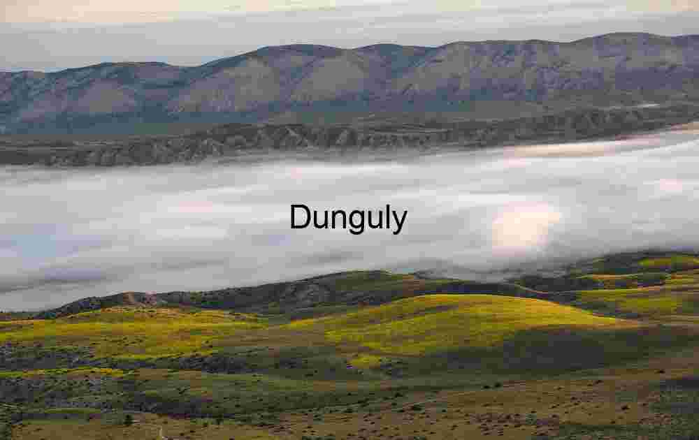 Fogbank and yellow carpeting at sunrise; Carrizo Plain National Monument Layers of Light: Fog and Sun Across Verdant Hills