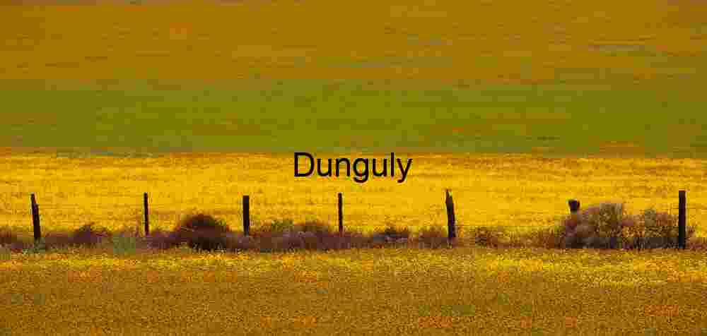 Layers of gold, fenceline, yellow, green, orange- Elkhorn plain Fence Line in Bloom: Spring’s Contrast Across Open Plains