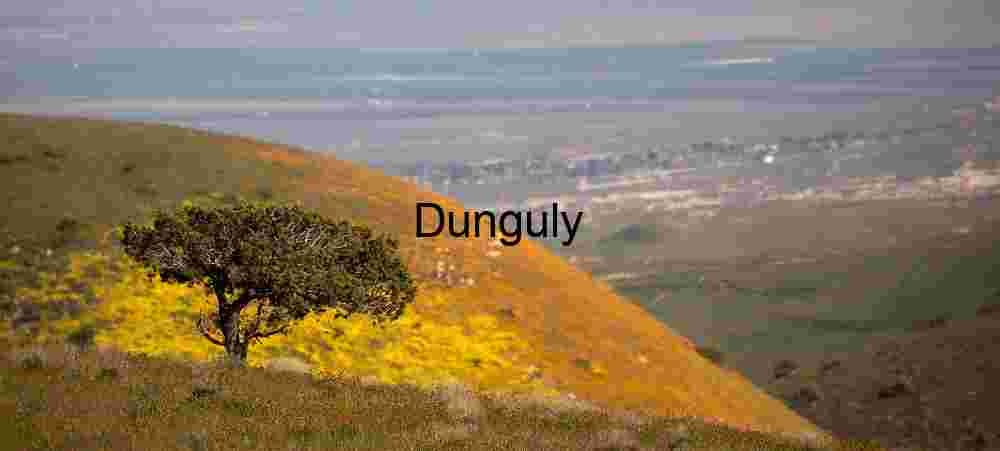 Lone tree against yellow and orange - Temblor Range Overlooked Bloom: Solitary Tree Above the Valley