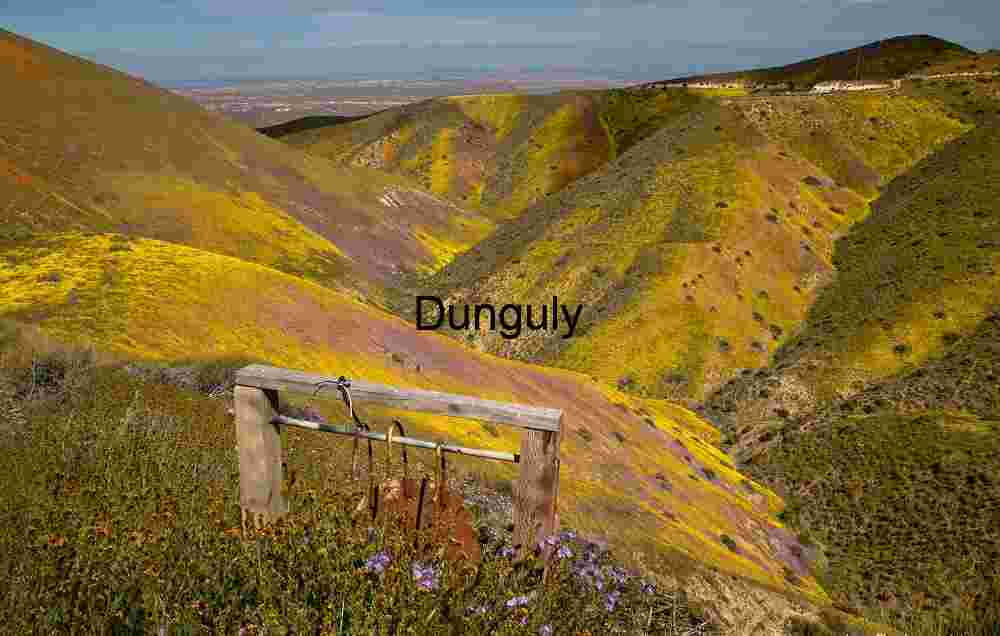 Metal disk - Carrizo Plain Golden Bloom Path – Carrizo Plain