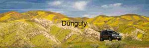 Off-Road Escape: SUV Amid Wildflower Hills