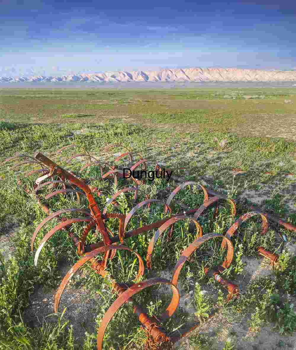 Relic from when the Plains were farmed Carrizo Plains N.M. Rust and Reverence: Abandoned Cultivator on the Plains