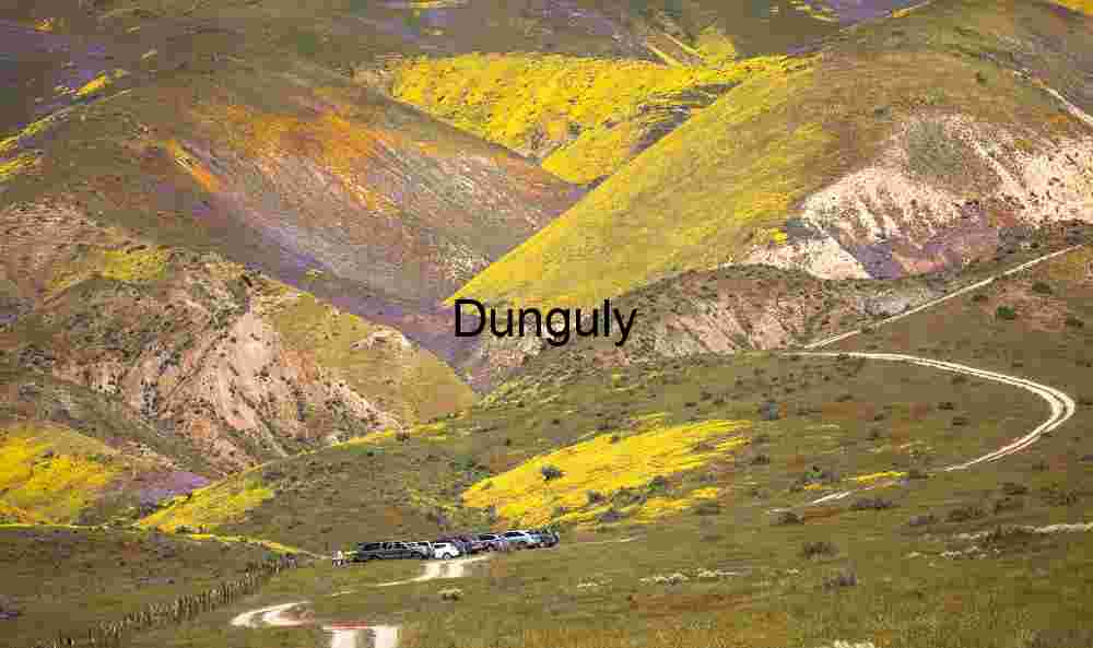 Road into a Temblor Range canyon #1- Carrizo Plain Spring Bloom Journey: Wildflowers and Winding Trails