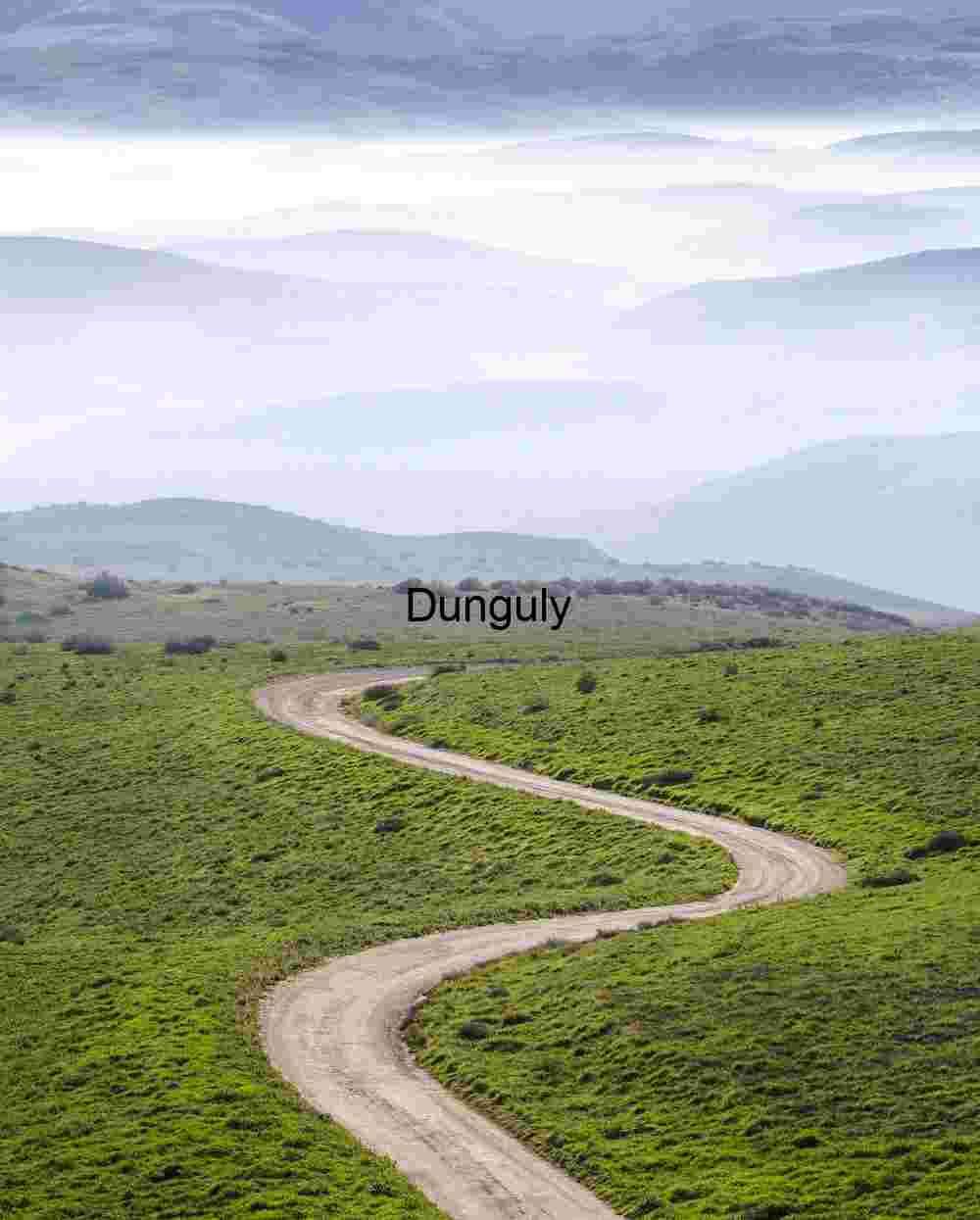 Sinusoidal trail and fog- Carrizo Plains N.M. Mist Over the Path: Winding Road Through Verdant Silence