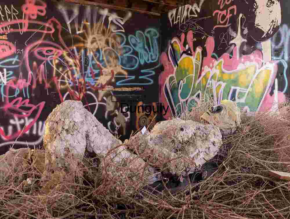 Straw Man; Bombay Beach Reclining Ruin: Graffiti and Tumbleweeds in an Abandoned Room