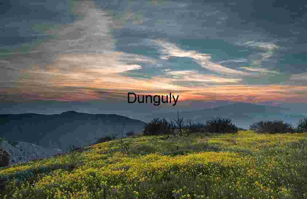 Sunset over yellow carpet of daisies- Carrizo Plain National Monument Golden Bloom at Dusk: Wildflower Field Beneath Mountain Light