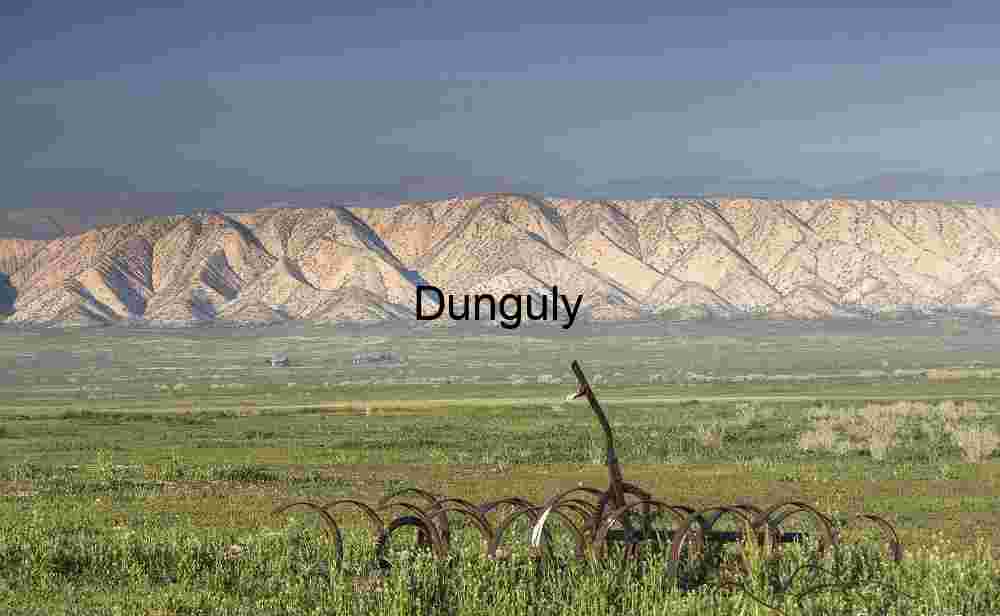 View across Carrizo Plains to the Temblor Hills Rust and Reverie: Where Meadows Meet Mountains