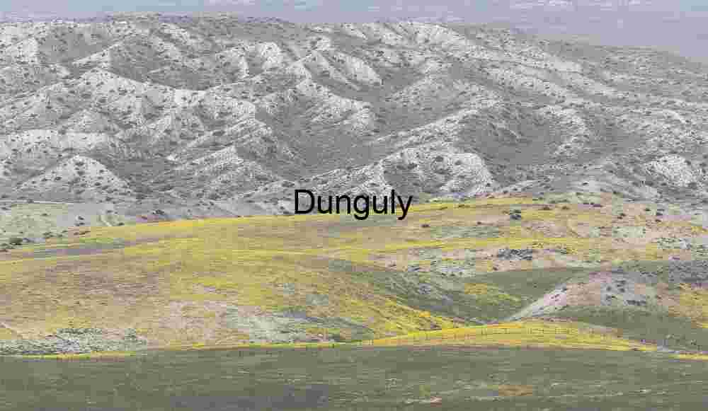 Wildflower Boundary Beneath Rugged Hills Wildflower Divide: Where Color Meets Stone