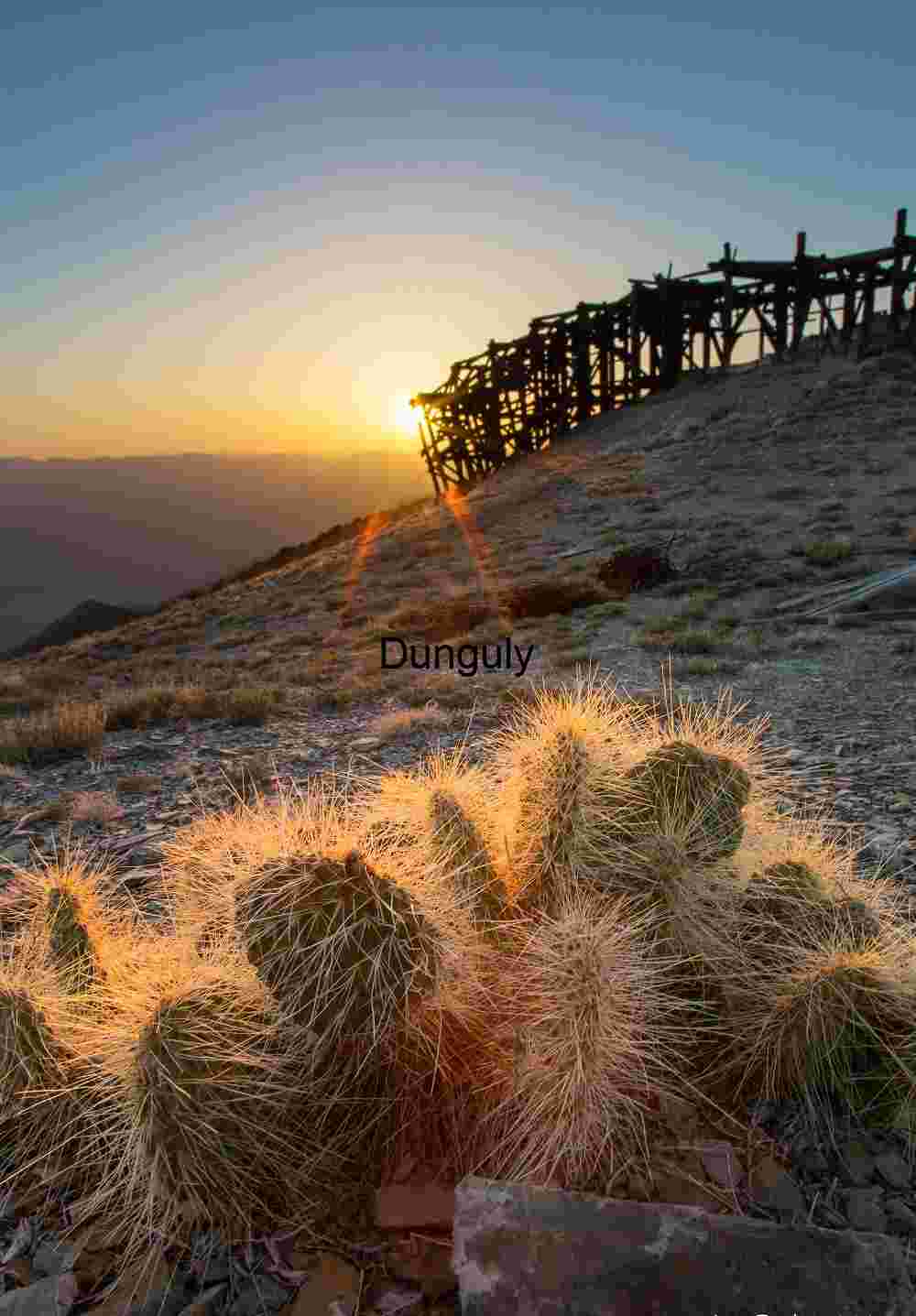 Backlit summit station and cactus, Desert Sunset with Prickly Pear Cactus and Wooden Mining Structure