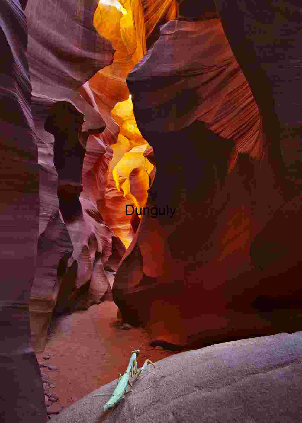 Canyon Dweller, Lower, Antelope Canyon slot canyon photography, sandstone erosion, desert geology, natural rock formations