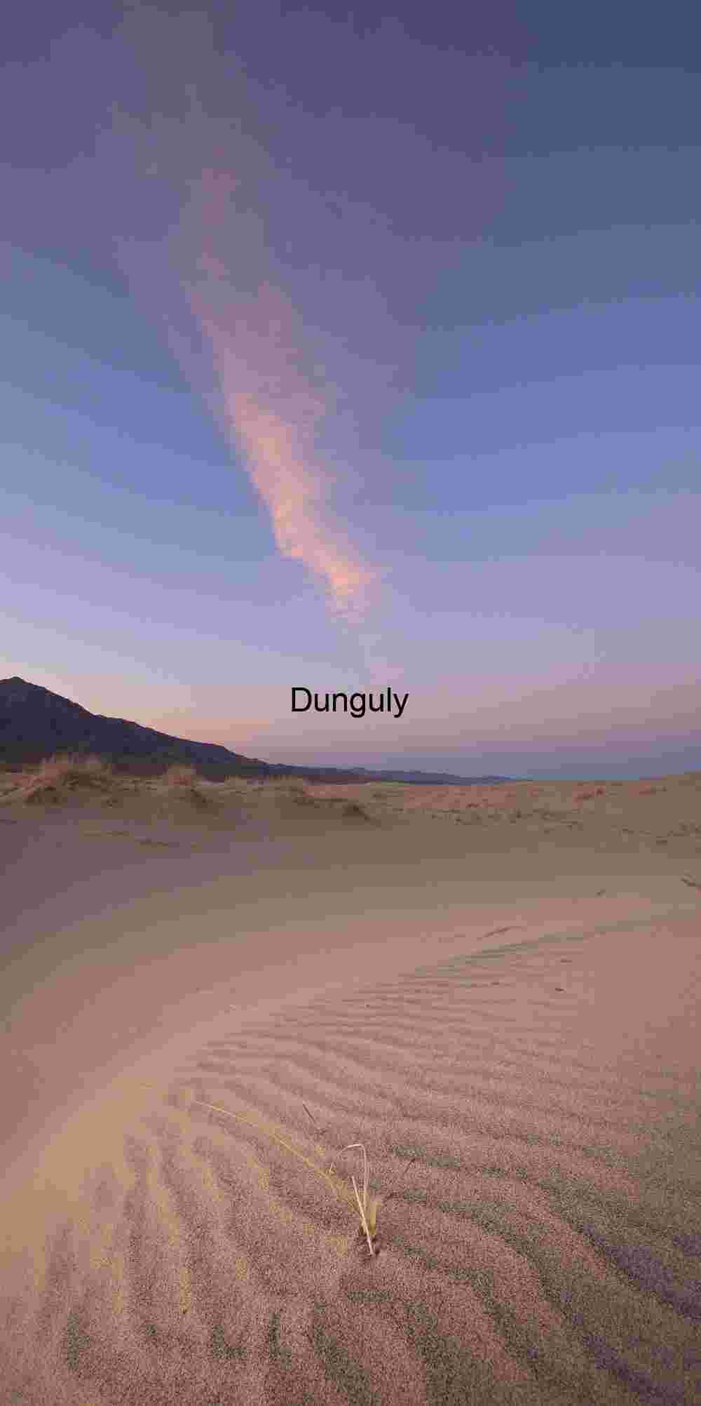 Cloud and grass, Kelso Dunes, Mojave National Preserve Rippled Desert Dunes at Sunrise Beneath Pink Cloud