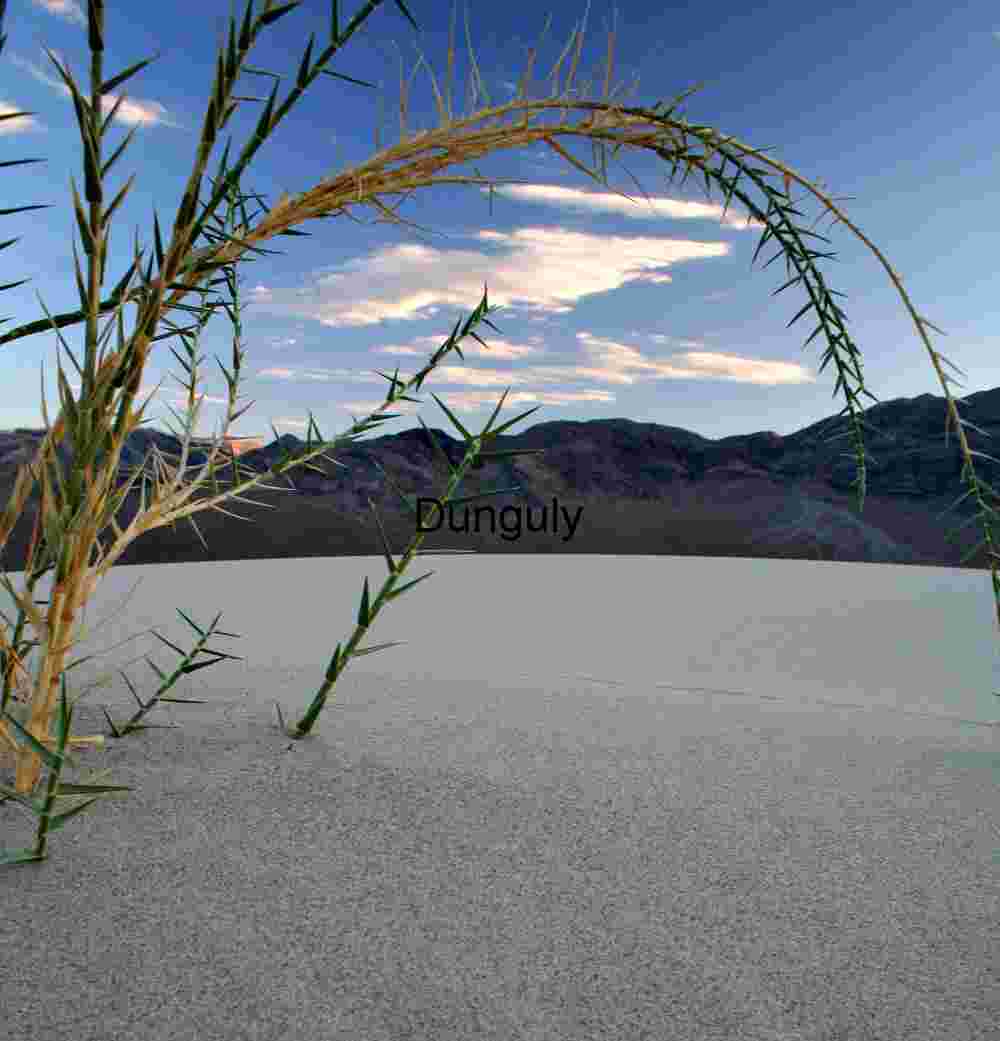 Clouds frame Thorns of Solitude: Life at the Edge of the Flats