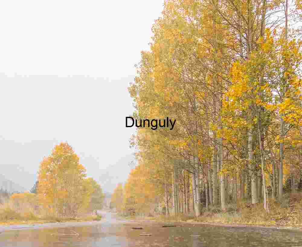 Diffuse light during snowfall; Fall colors, Eastern Sierras - Copy Golden Autumn Road in Mist — Serene Forest Landscape Photography for Editorial & Commercial Licensing