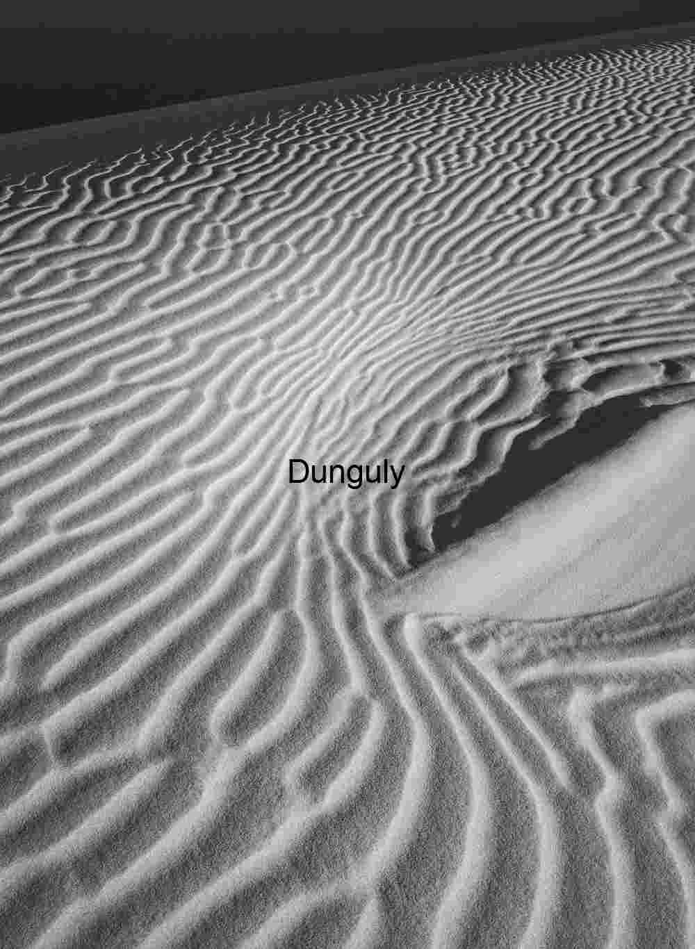 Disrupted sand ripples- Eureka Dunes Windscript: Rhythms Etched in Sand
